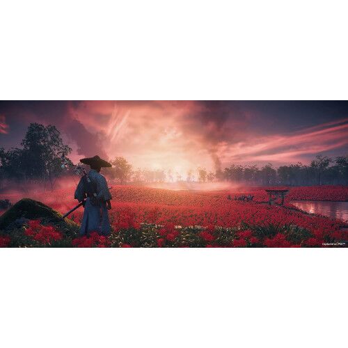 Ghost of Tsushima Director's Cut за PS4